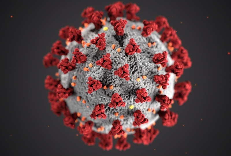 Foto av koronavirus, grå kule med raude utvekster